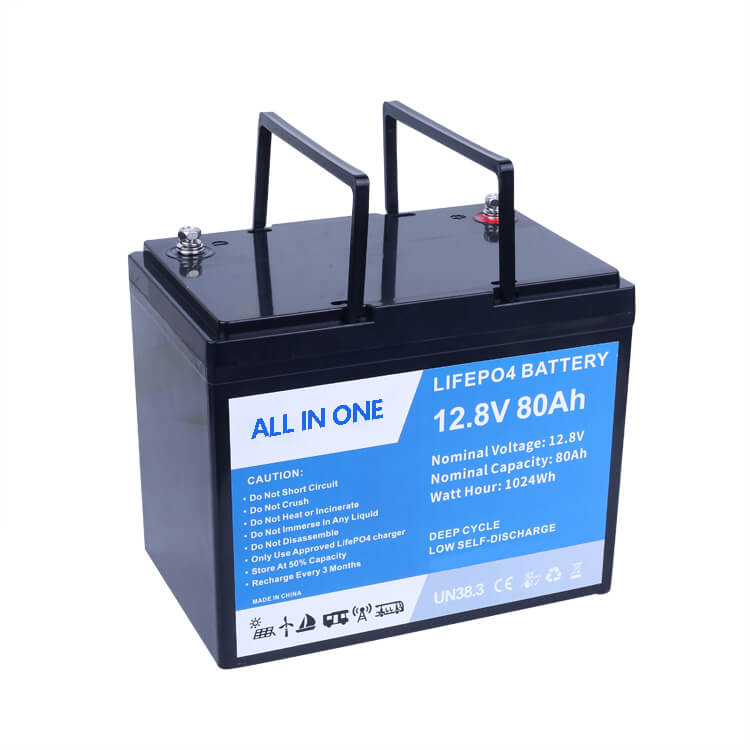 48V Deep Cycle 100Ah Lithium Ion LiFePo4 Cabinet Battery for Energy Storage  Solar - Buy lithium iron phosphate battery 48v, lithium ion battery 48v  200ah, lithium battery 48v 200ah Product on Lithtech