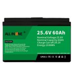 25.6V 60Ah safety/long life LFP battery for RV/Caravan/UPS/Golf Cart 24V 60Ah