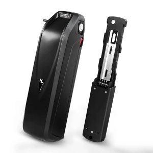 Hailong electric scooter ebike battery 48V 15Ah