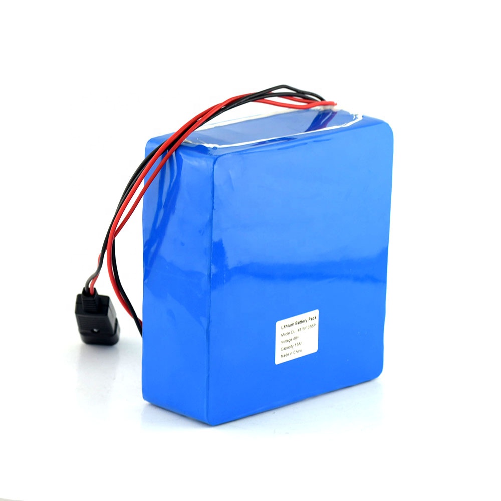 48V 15Ah 20Ah Rechargeable Lithium Ion Battery Pack 48 Volt Electric