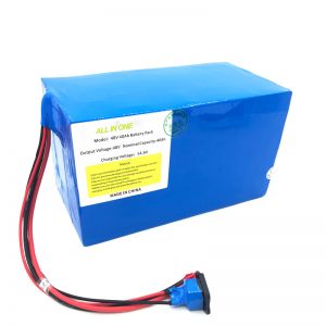 Customized 18650 48V 40Ah Lithium Battery Pack for E-bike, E-boat, Electric Scooter
