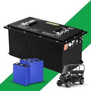 OEM ODM 48v Golf Cart LiFePO4 Battery