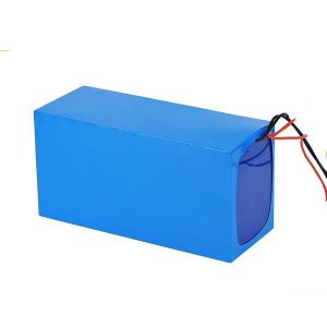 LiFePO4 Rechargeable Battery 5Ah 51.2V